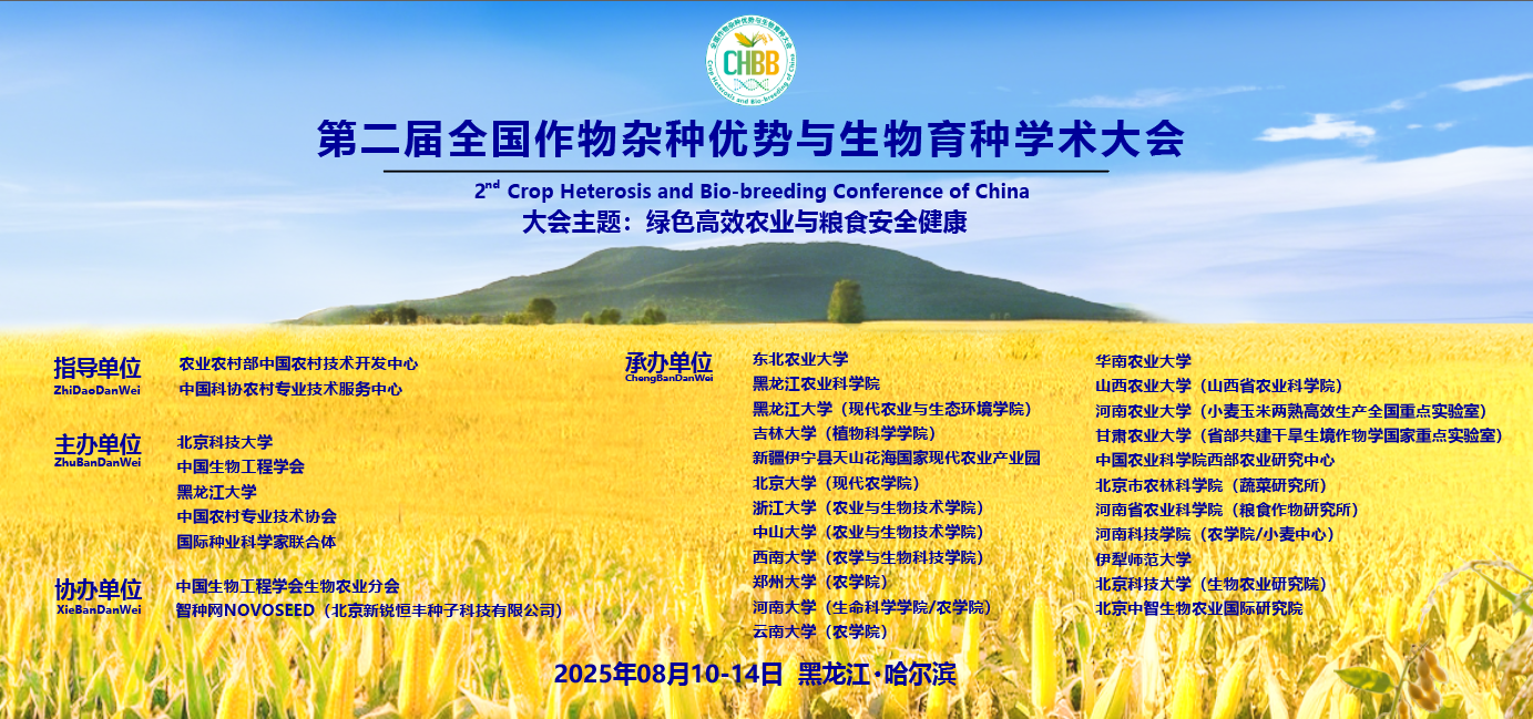 大图.png